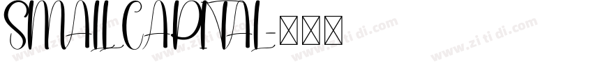 SMALL CAPITAL字体转换